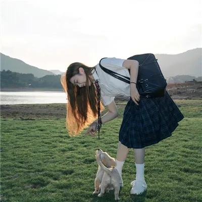 双重追击