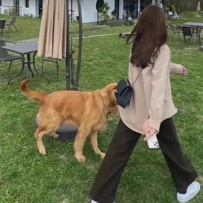 武庚纪第一季